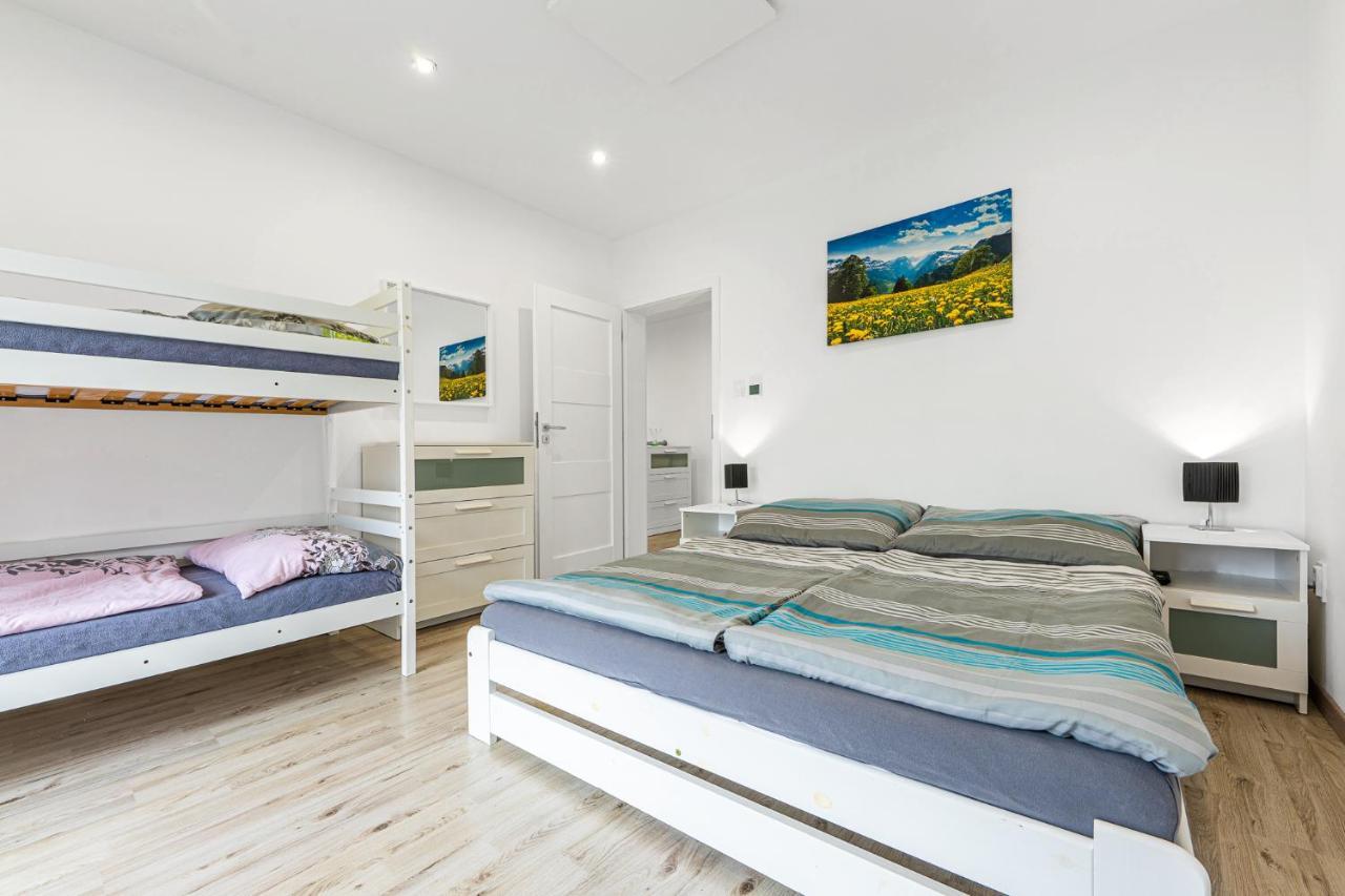Wellness Villa Klinovec Views Loučná pod Klínovcem Kültér fotó