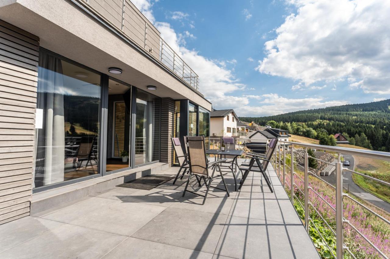 Wellness Villa Klinovec Views Loučná pod Klínovcem Kültér fotó