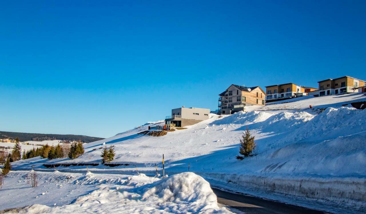 Wellness Villa Klinovec Views Loučná pod Klínovcem Kültér fotó