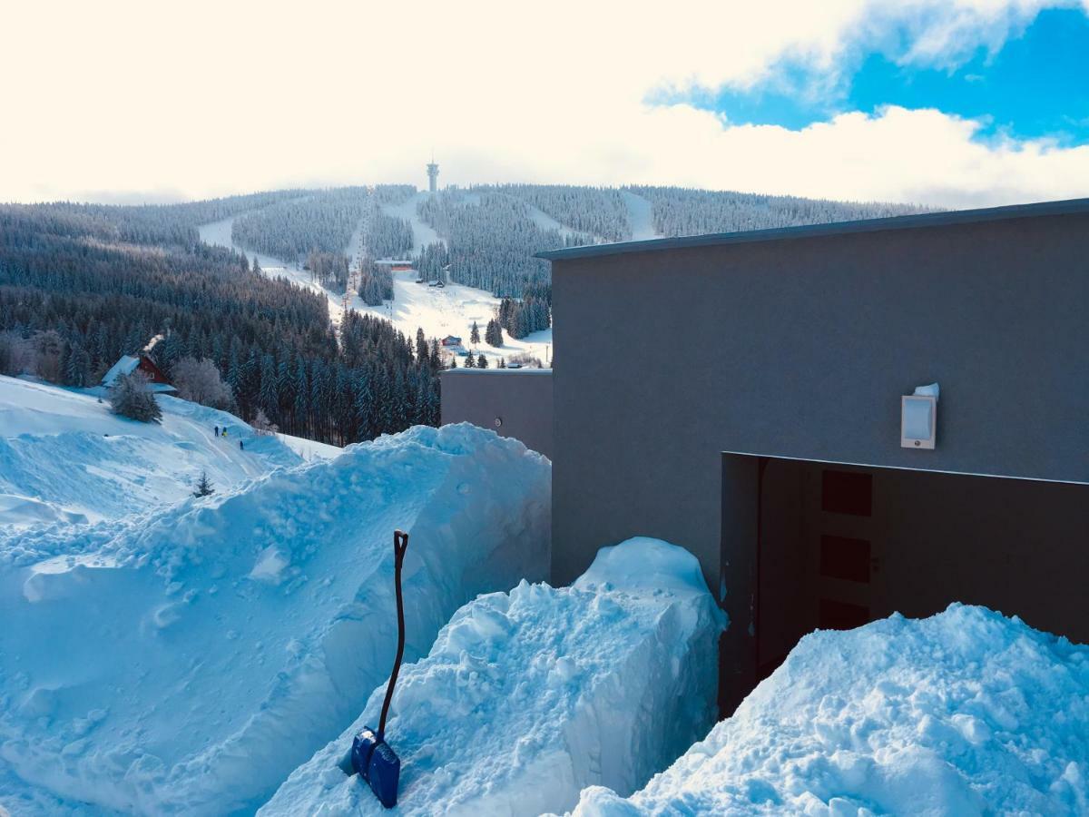 Wellness Villa Klinovec Views Loučná pod Klínovcem Kültér fotó